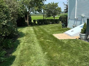 Kim M.'s lawn maintenance service result