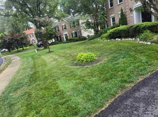 Derek R.'s lawn care service result