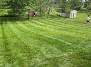 Jesus H.'s lawn care services service result