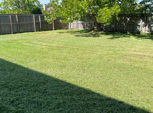 Newman W.'s turf maintenance service result