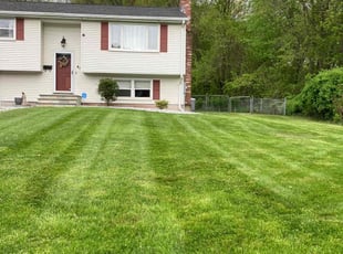 Diego G.'s grass cutting service result