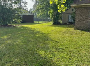 Gene G.'s lawn care service result