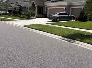 Tyra H.'s turf care service result