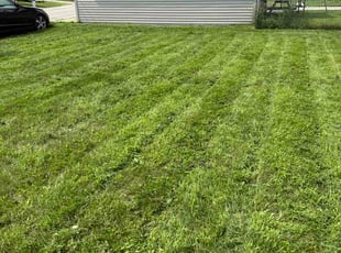 Travis S.'s grass maintenance service result