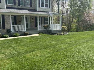 Vinish N.'s lawn care service result