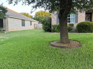 Evon J.'s turf care service result