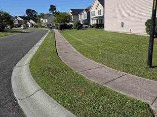 Beth P.'s turf care service result
