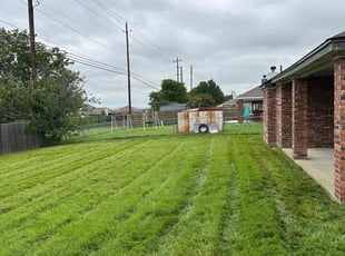 Ad M.'s lawn service service result