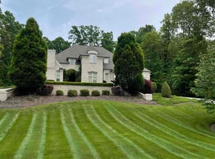 Krystal W.'s lawn maintenance service result