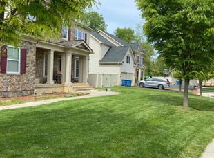 Irene M.'s lawn care services service result