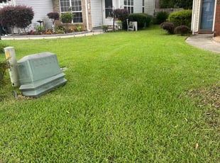 Aisha C.'s lawn care services service result