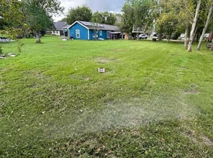 Peggie R.'s turf maintenance service result