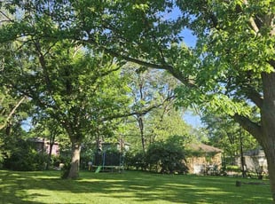 Babs W.'s lawn care services service result