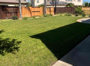George H.'s lawn care service result