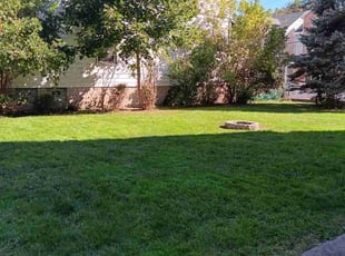 Lindy G.'s lawn care service result