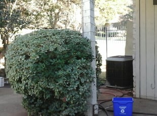 Mandi O.'s Bush Trimming service result