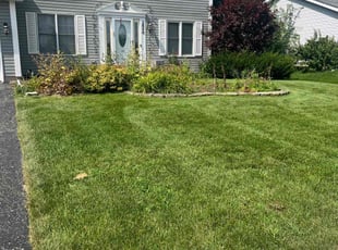 John C.'s grass cutting service result