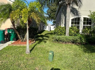 Dave M.'s grass cutting service result