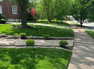 Benjamin W.'s grass cutting service result