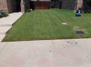 John D.'s grass maintenance service result