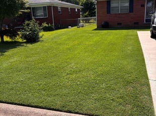 Vanessa K.'s lawn care service result