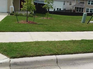 Joan Claire L.'s lawn care service result