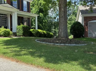 Ann J.'s lawn service service result