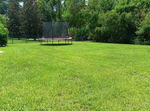 Kenneth B.'s turf maintenance service result
