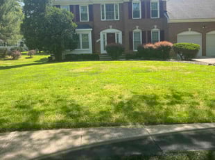 Jeffery S.'s lawn care service result