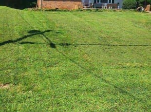 Christina G.'s turf maintenance service result