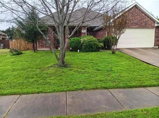 David L.'s turf maintenance service result