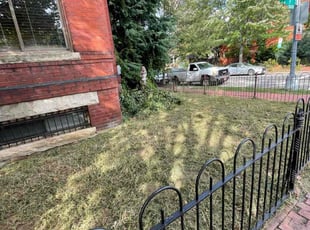 Michael D.'s lawn care service result