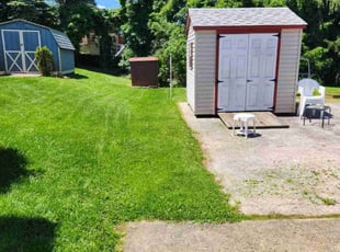 Tanya O.'s turf maintenance service result
