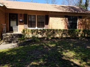 Jaurice S.'s Bush Trimming service result