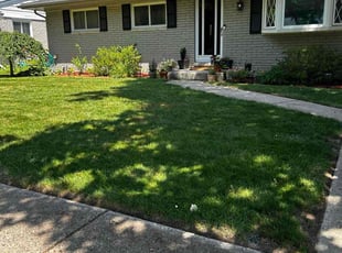 Josh J.'s grass cutting service result