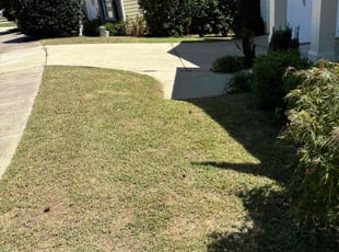 Dakota H.'s lawn maintenance service result