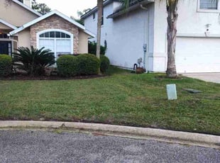 Dana M.'s lawn maintenance service result