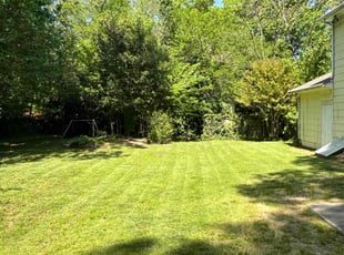 Bre F.'s lawn care service result