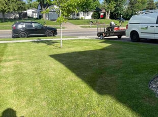 Roberta H.'s lawn care services service result