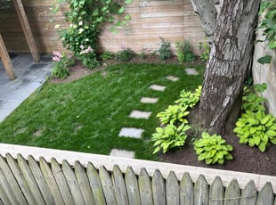 Betty F.'s lawn care service result
