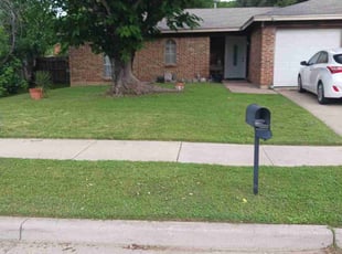 Kirk G.'s turf care service result