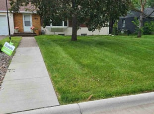 Damian P.'s lawn service service result