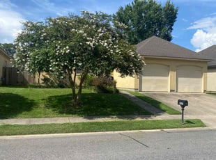 Adam d.'s lawn care service result