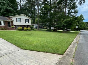 Alex V.'s lawn service service result