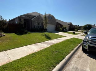 Desie H.'s lawn maintenance service result