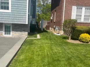 Martin H.'s lawn care services service result