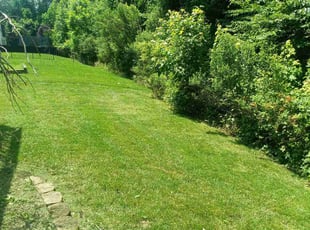 Anthony H.'s landscaping service result