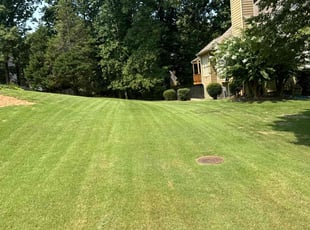 Janine P.'s lawn care service result