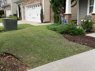 Christina R.'s grass cutting service result