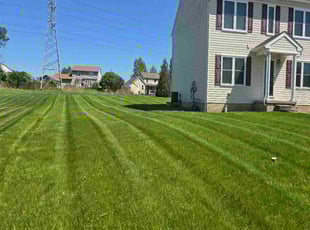 Susan R.'s grass cutting service result